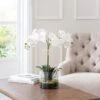 Dorma Artificial Cream Orchid In Glass Plant Pot