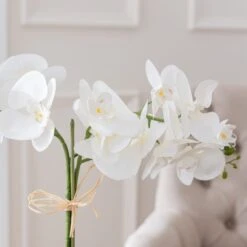 Dorma Artificial Cream Orchid In Glass Plant Pot 6 Dorma Artificial Cream Orchid In Glass Plant Pot -Dorma 30796532 alt01