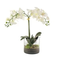 Dorma Artificial Cream Orchid In Glass Plant Pot 9 Dorma Artificial Cream Orchid In Glass Plant Pot -Dorma 30796532 alt04
