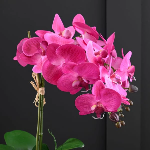 Artificial Pink Orchid In Glass Plant Pot 2 Artificial Pink Orchid In Glass Plant Pot - Image 2