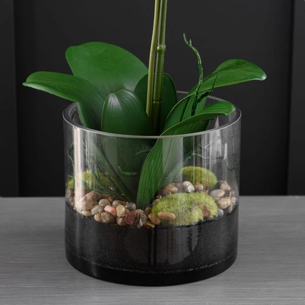 Artificial Pink Orchid In Glass Plant Pot 3 Artificial Pink Orchid In Glass Plant Pot - Image 3